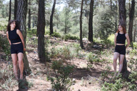 In The Landscape Forest
