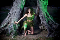Tree Mistress Project