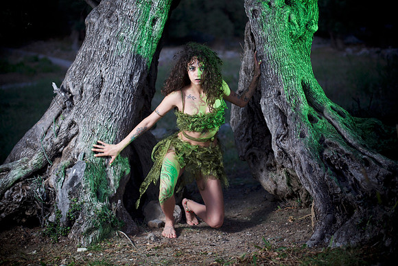 Tree Mistress Project