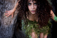 Tree Mistress Project