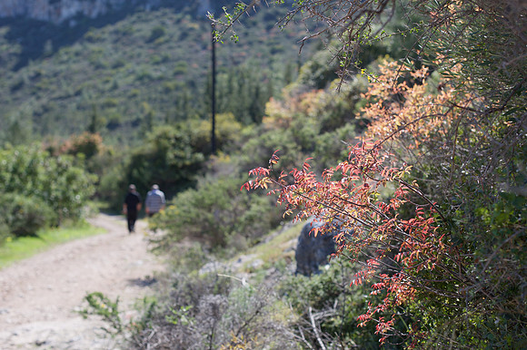 Mountain walk near Karaman