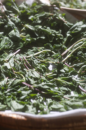 Drying In The Sun