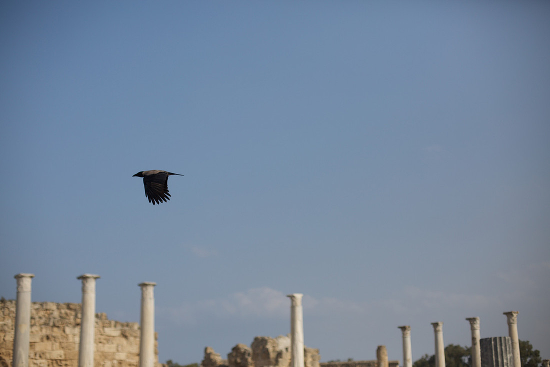 Salamis Ruins