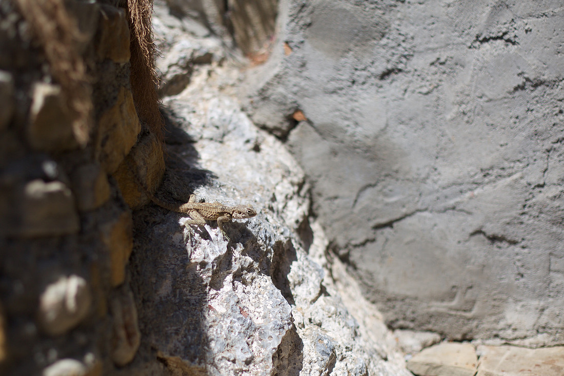 Mount St Hilarion