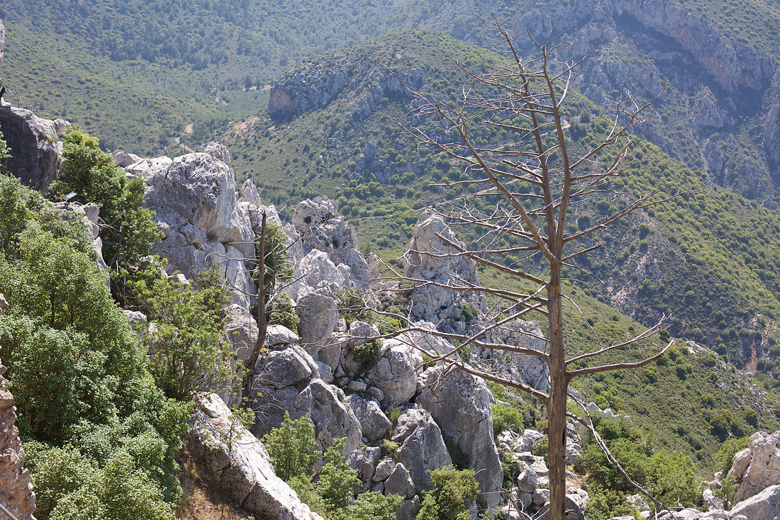 Mount St Hilarion