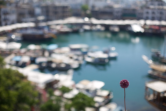 View from Kyrenia Castle