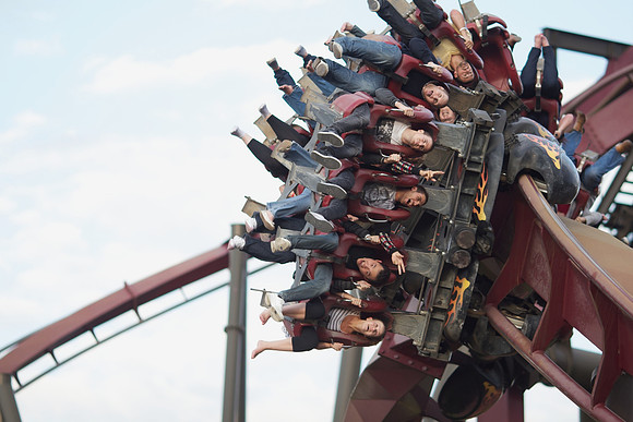 Makerstudy- Thorpe Park