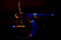 Barbu Cirque Alfonse Wonderground 2016