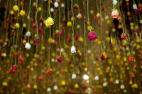 Floriculture Opening Garden Museum, Rebecca Louise Law, Roses, 2013.